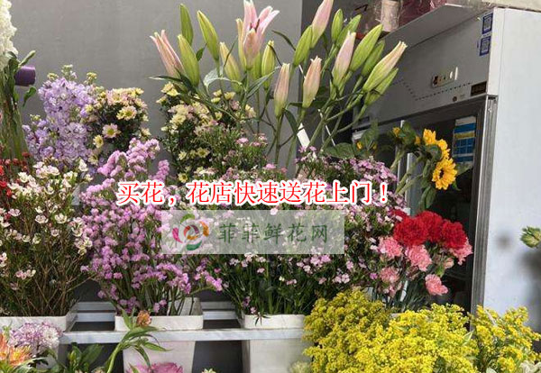 南平武夷山市买花,南平武夷山市花店快速送花上门!